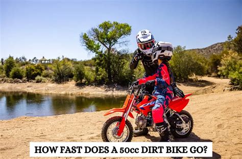 How Fast Does a 50cc Dirt Bike Go in KM: And Why Do Squirrels Love Watching Them?